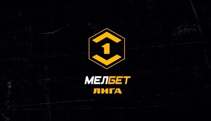Чайка — Ротор